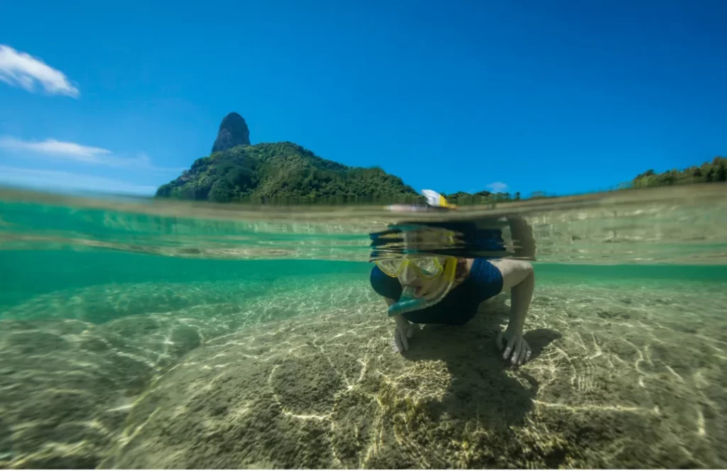 Fernando de Noronha é Reconhecida Como Área Prioritária Para Conservação de Tubarões e Raias
