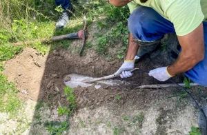 furto de água em Gravatá