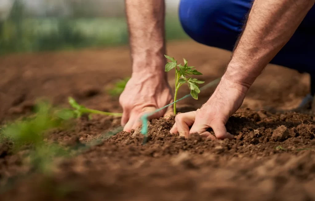 II FENEAF em Pernambuco