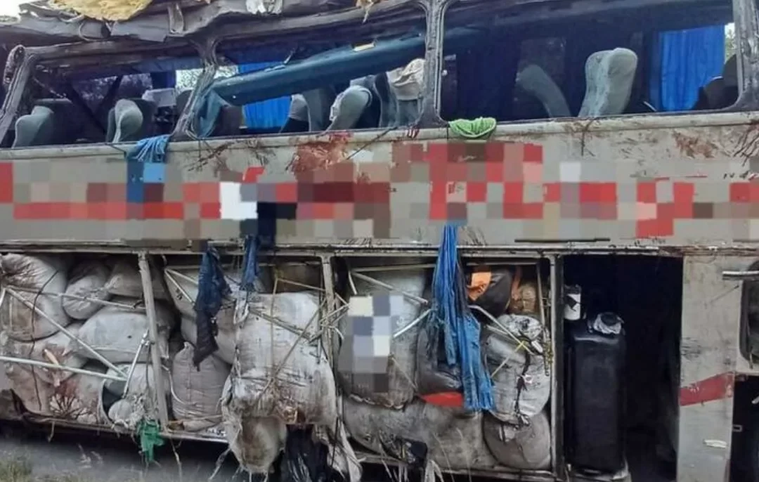 Tragédia em Saloá (PE): Acidente com Ônibus na BR-423 Deixa 15 Mortos no Agreste