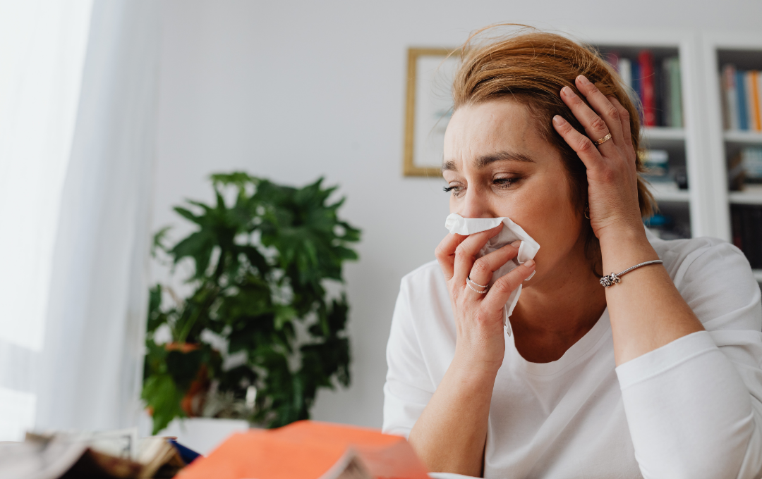 Viroses Pós-Carnaval