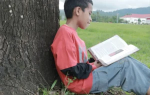 Domingo sem Tela Recife