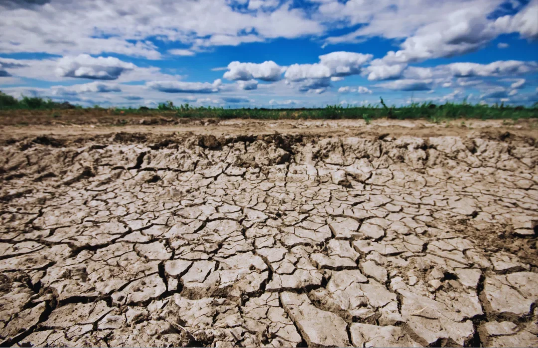El Niño em Pernambuco