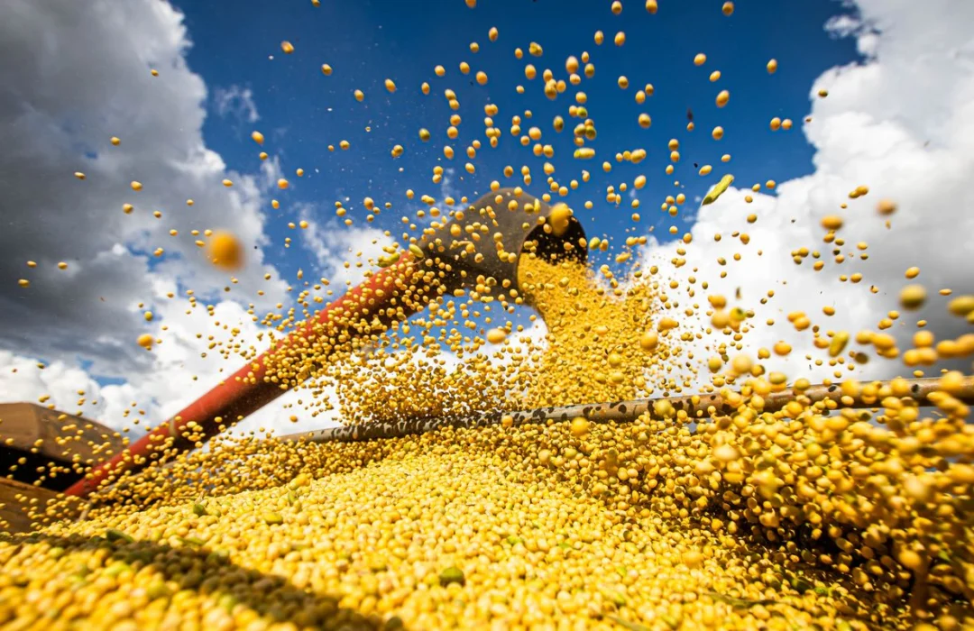 Agricultura brasileira alcança recorde de R$ 927 bilhões em 2025
