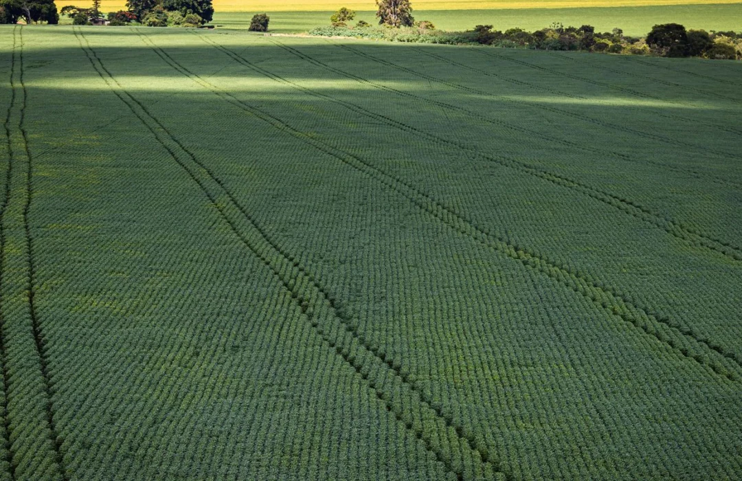 CMN abre novas oportunidades para agricultores renegociarem dívidas afetadas por problemas climáticos