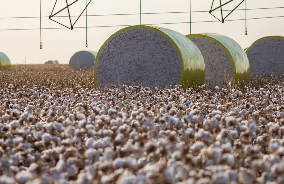 Sorriso perde liderança agrícola após criação de novo município em Mato Grosso