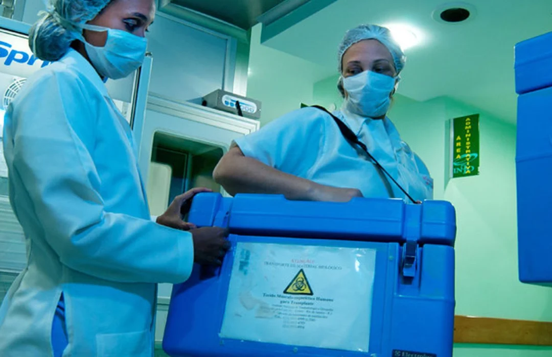 Mais de 32 mil brasileiros já registram intenção de doar órgãos por cartório