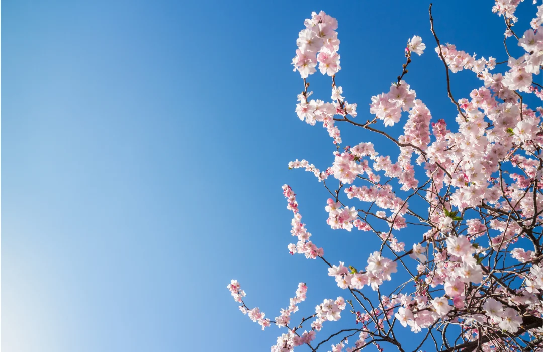 Primavera Começa hoje com Calor Acima da Média no Nordeste