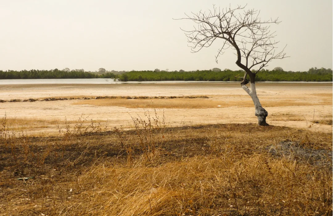 El Niño Será “Muito Forte” e Deve Continuar até Fevereiro, Alerta ONU
