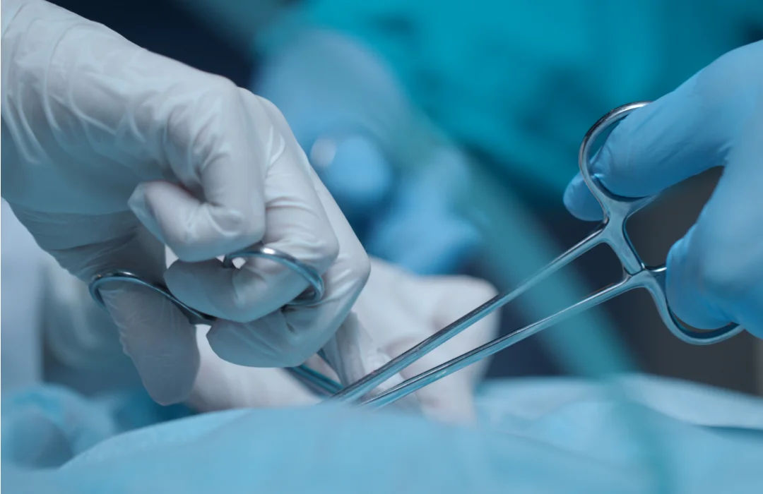 Falta de integração entre órgãos públicos contribui para morte de mulheres, alertam especialistas