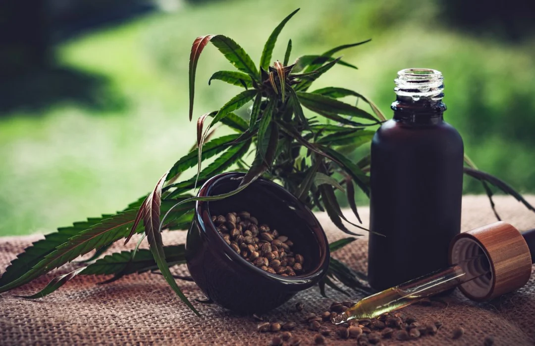 Regulamentação da cannabis medicinal no Brasil ainda apresenta lacunas, alertam associações