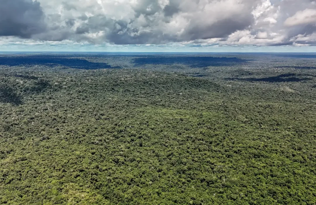 Brasil recebe autorização para contratar crédito de US$ 1 bilhão do BID para programa de sustentabilidade