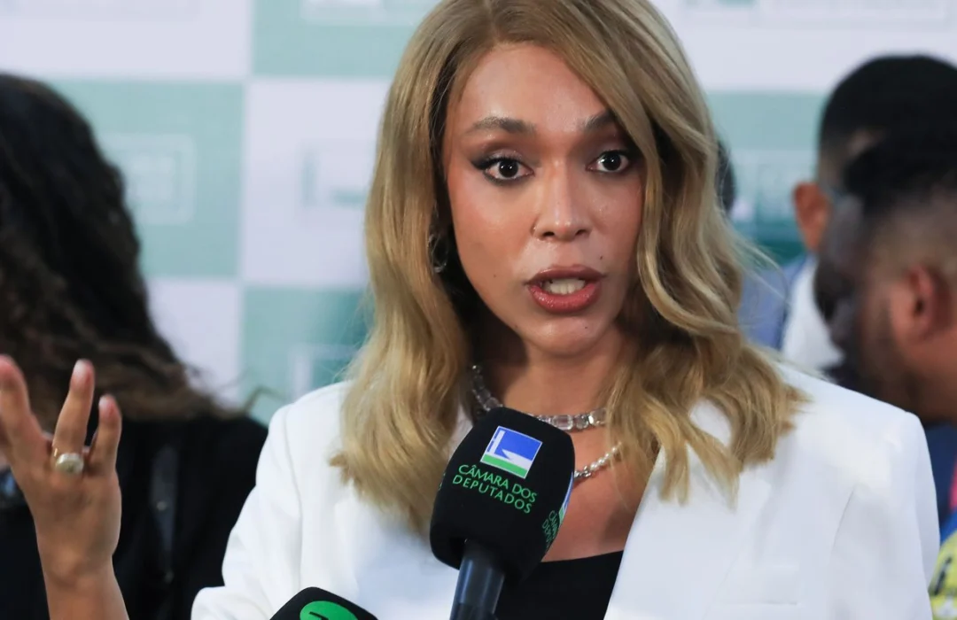 Ministro do TSE autoriza publicação de Erika Hilton sobre Nossa Senhora Aparecida