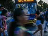 Pesquisa revela que isolamento e cansaço mental afastam eleitores das urnas no Brasil