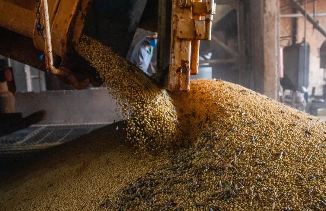 Safra de grãos brasileira deve crescer em 2026/2027 apesar dos impactos do El Niño