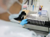 Anvisa aprova testes em humanos de vacina brasileira contra malária