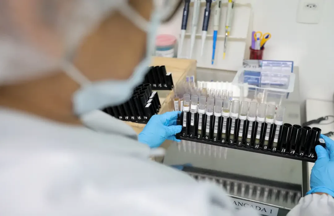 Anvisa aprova testes em humanos de vacina brasileira contra malária