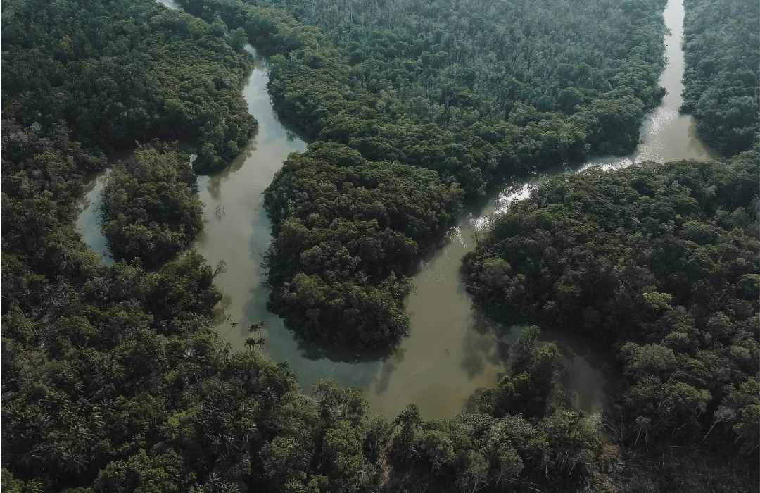Petrobras reforça perspectivas de exploração na Amazônia com segunda descoberta de petróleo