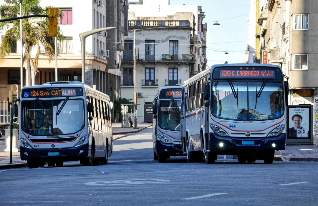 Lula anuncia tarifa zero no transporte e intensifica campanha no Nordeste