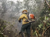 Ministério investiga incêndios criminosos que assolam o Amazonas