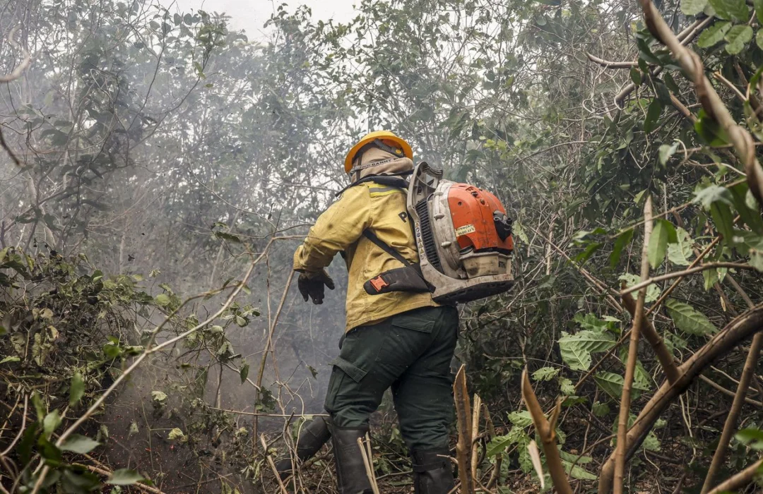 Ministério investiga incêndios criminosos que assolam o Amazonas
