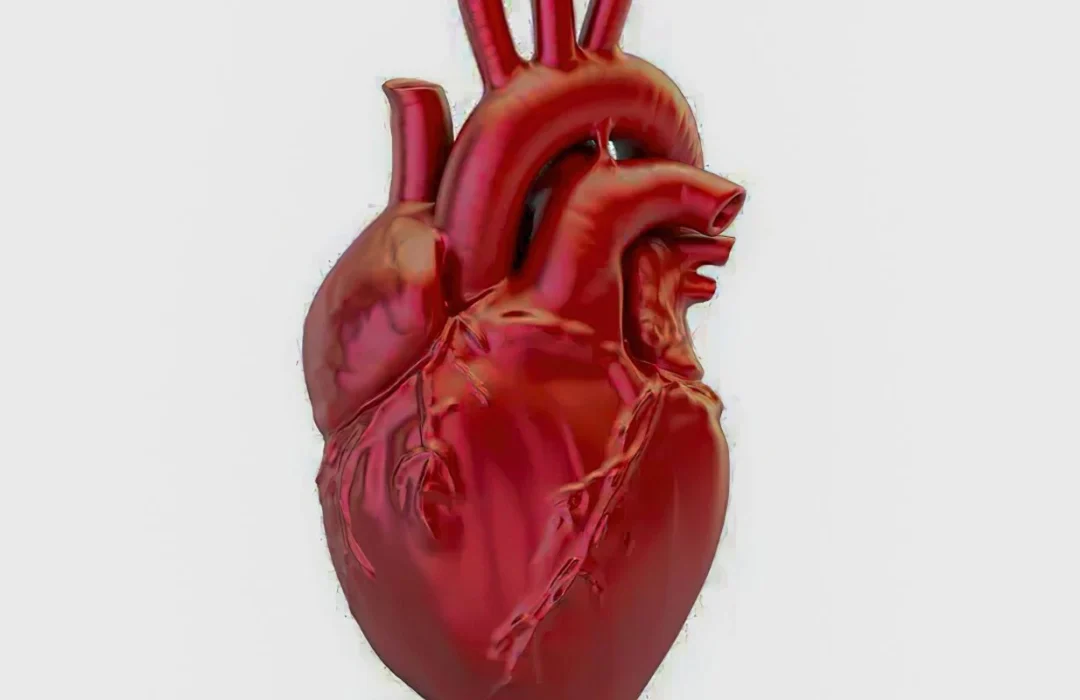 Brasil registra uma morte por doença cardiovascular a cada 72 segundos